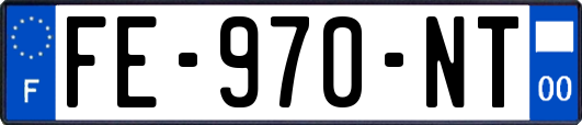 FE-970-NT