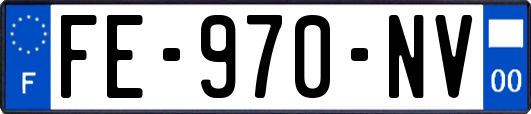 FE-970-NV