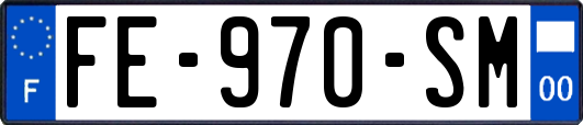 FE-970-SM