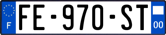 FE-970-ST