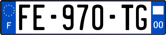 FE-970-TG