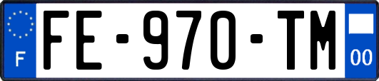 FE-970-TM