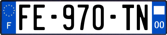 FE-970-TN