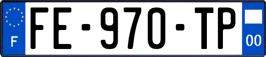 FE-970-TP