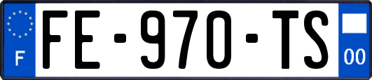FE-970-TS