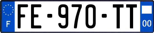 FE-970-TT