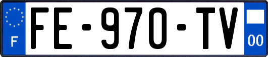 FE-970-TV