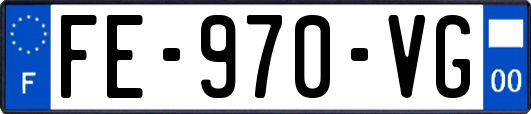 FE-970-VG