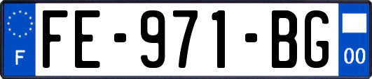FE-971-BG