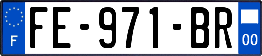 FE-971-BR