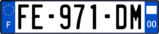 FE-971-DM