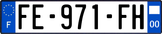 FE-971-FH
