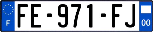 FE-971-FJ