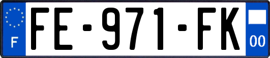 FE-971-FK