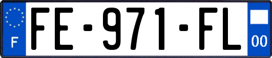 FE-971-FL