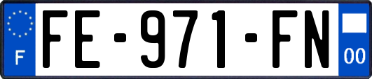 FE-971-FN