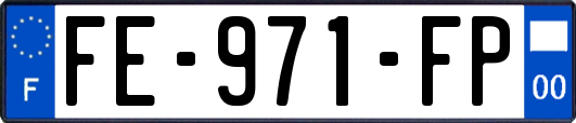 FE-971-FP