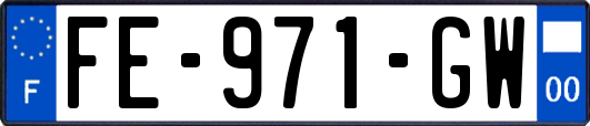 FE-971-GW