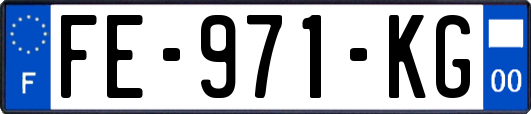 FE-971-KG