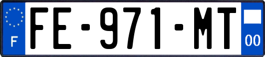 FE-971-MT