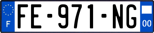 FE-971-NG