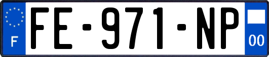 FE-971-NP