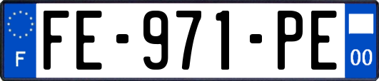 FE-971-PE