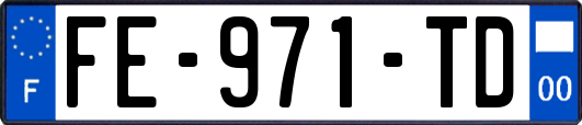 FE-971-TD