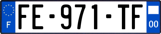 FE-971-TF
