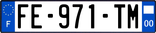 FE-971-TM