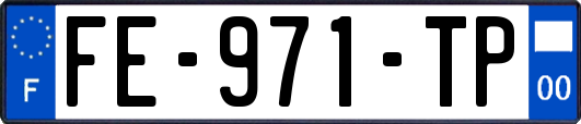 FE-971-TP