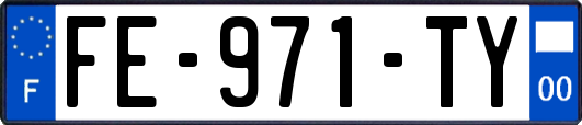 FE-971-TY