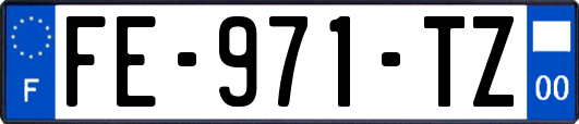 FE-971-TZ