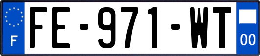 FE-971-WT