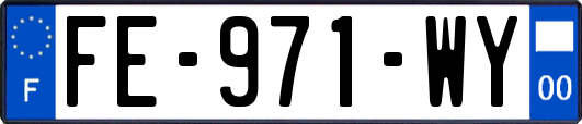 FE-971-WY