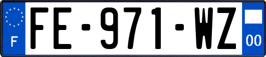 FE-971-WZ