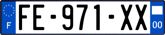 FE-971-XX