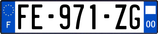 FE-971-ZG