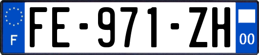 FE-971-ZH