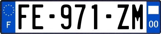 FE-971-ZM