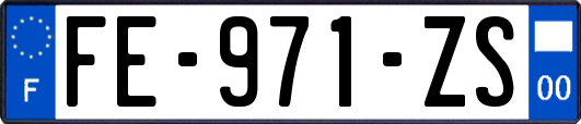 FE-971-ZS
