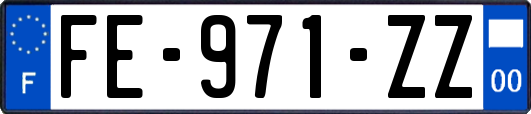 FE-971-ZZ