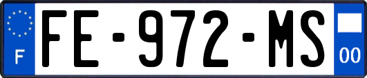 FE-972-MS