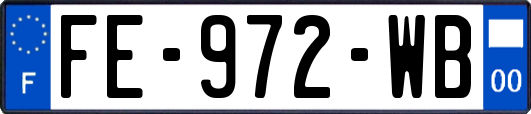 FE-972-WB