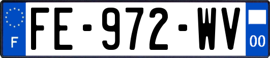 FE-972-WV