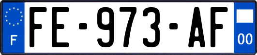 FE-973-AF