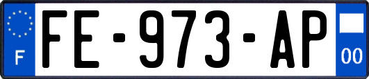 FE-973-AP