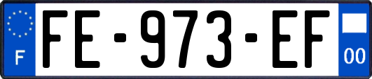 FE-973-EF