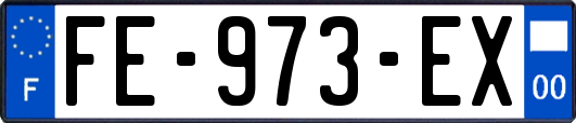 FE-973-EX