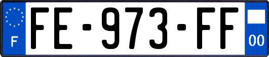 FE-973-FF